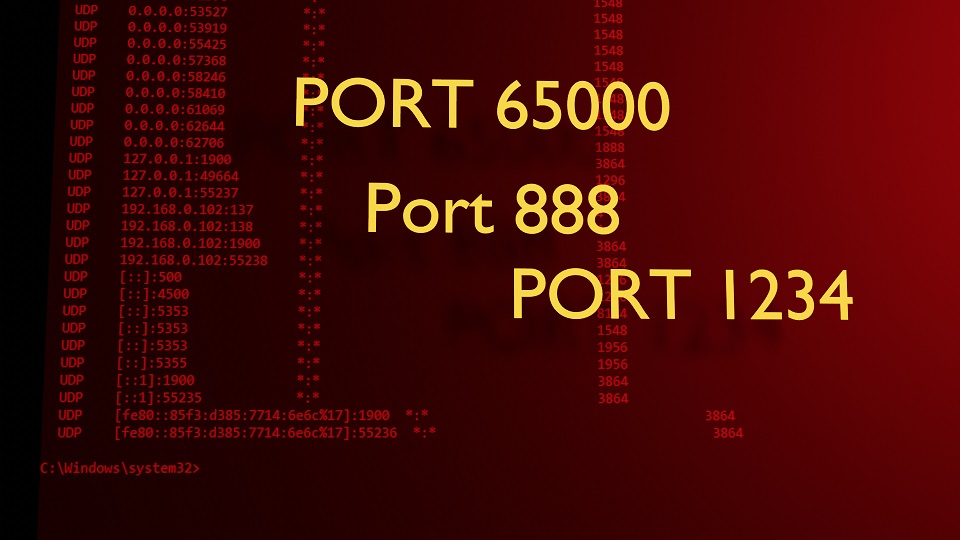 Find out the port status